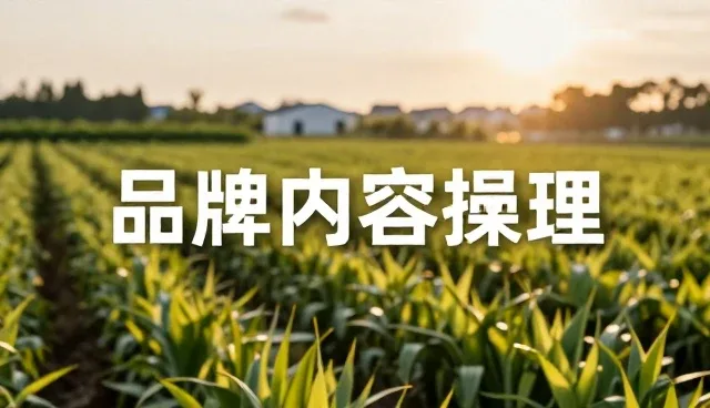 视频剪辑项目限制的检查要点分析