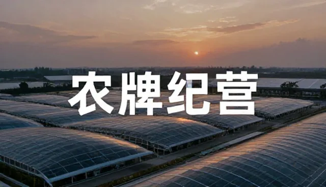 新媒体运营选型时应关注哪些核心点？